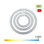 Tubo fluorescente circular 22w ø21cm trifosforo 6500k luz fria philips