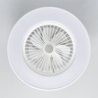 Ventilador amigo 42w+20w blanco philips