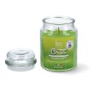 Vela citronela en tarro 510ml magic lights