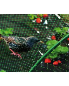 MALLA ANTIPAJAROS BIRDNET 5380/2X10M VDE