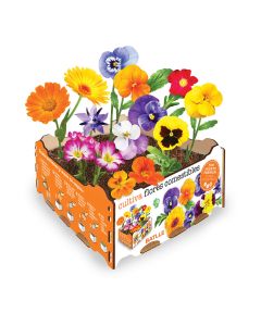 Caja de flores comestibles batlle