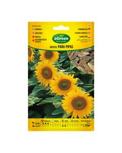 Sobre con semillas de girasol para pipas 301024bolsh agreen