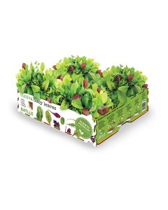 Caja de ensaladas baby leaves batlle