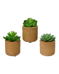 Planta suculenta artificial de 10cm modelos surtidos 809279