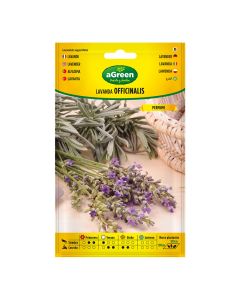 Sobre con semillas de lavanda officinalis 301031bolsh agreen