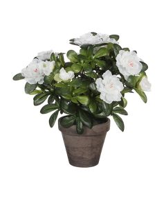 Azalea artificial blanca en tiesto gris ø11,5x27cm