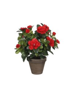 Azalea artificial roja en tiesto gris ø11,5x27cm