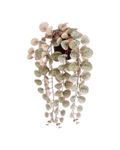 Planta artificial colgante ceropegia woodii "collar de corazones" rosa con maceta.