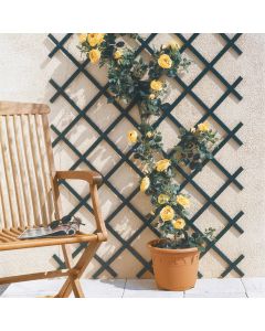 CELOSIA EXT.PVC TRELLIFLEX 1X2M VERDE