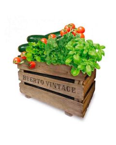 Caja huerto vintage eco agreen