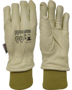 GUANTE TERMICO FRIO HYBERNUS PL-100 T-10