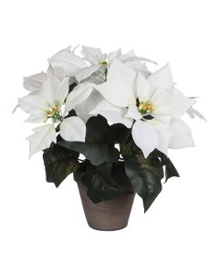 Planta artificial de pascua blanca-poinsettia 27x35cm