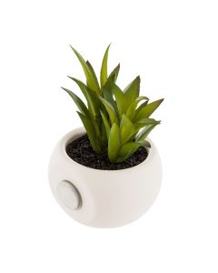 Mini plantas decorativas con iman modelos surtidos 6cm