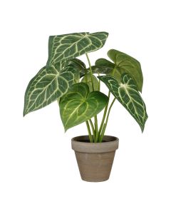 Planta artificial caladium "oreja de elefante" verde con maceta ø21x28cm