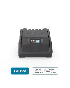 Cargador de bateria 20 v 60 w