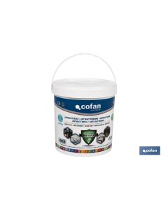 PINTURA PLASTICA ANTIBACTERIAS IONES PLATA 12 L COFAN