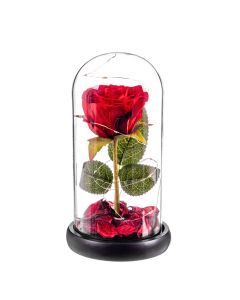 Rosa roja eterna leds cupula cristal 20 cm caison