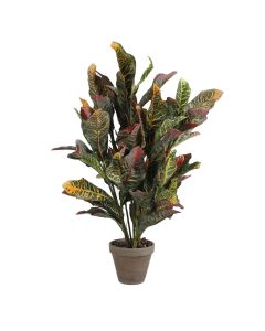 Croton verde pvc con maceta gris