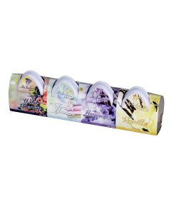 Pack de 4 ambientadores 50g fragancias surtidas